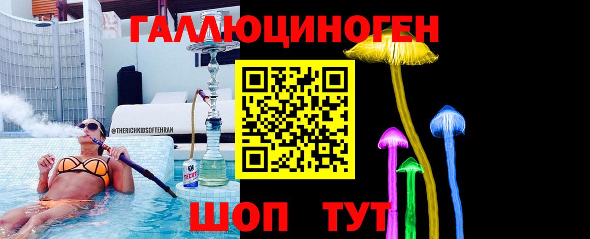 Псилоцибиновые грибы Psilocybine cubensis Черняховск